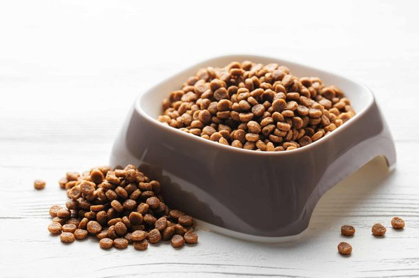 Comprendre les divers goûts de croquettes pour chiens : Un guide exhaustif